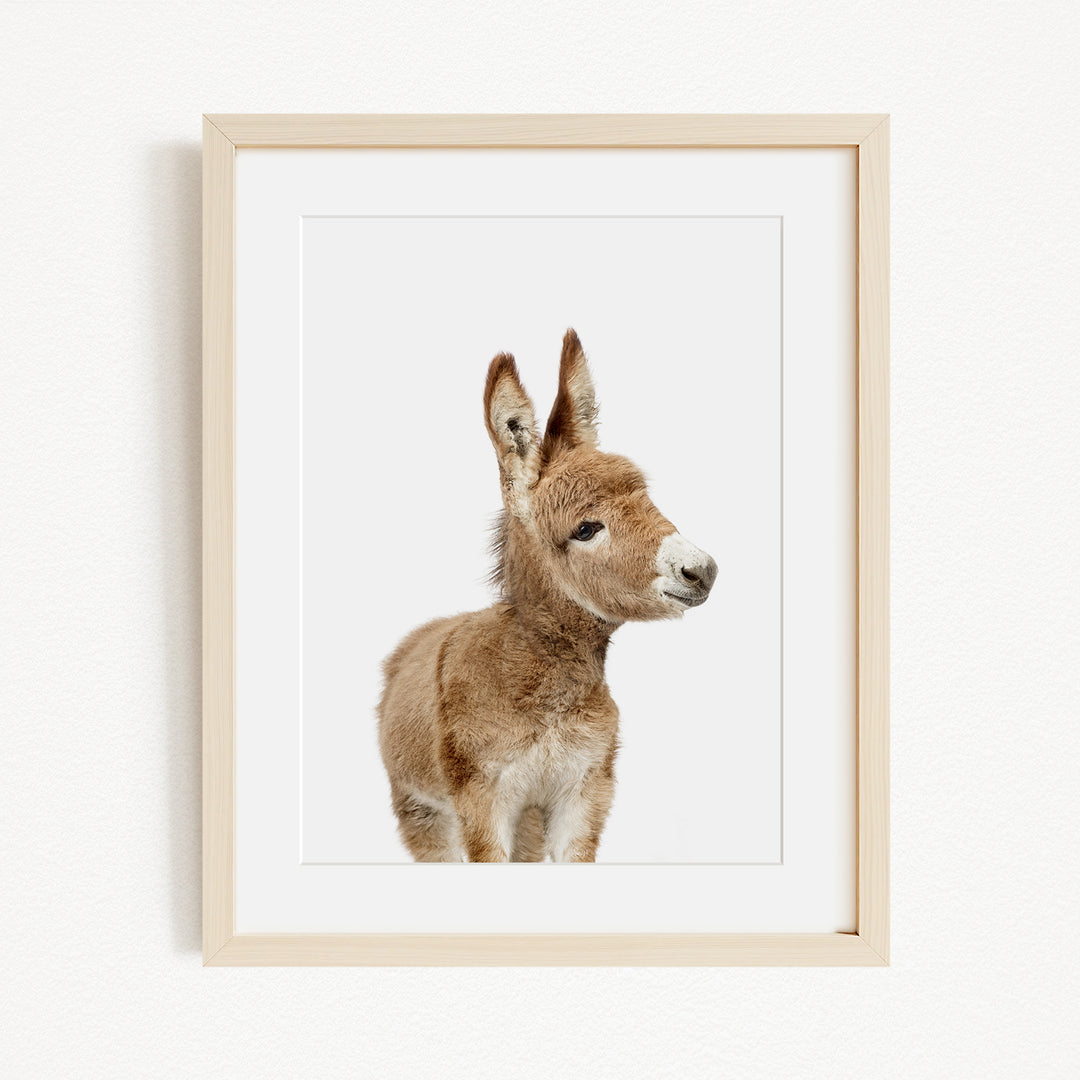 A framed image of a donkey with a white face and brown body.