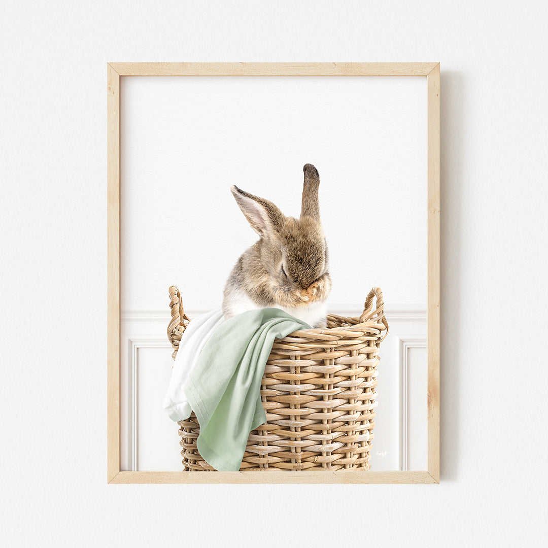 a picture of a bunny sitting in a basket