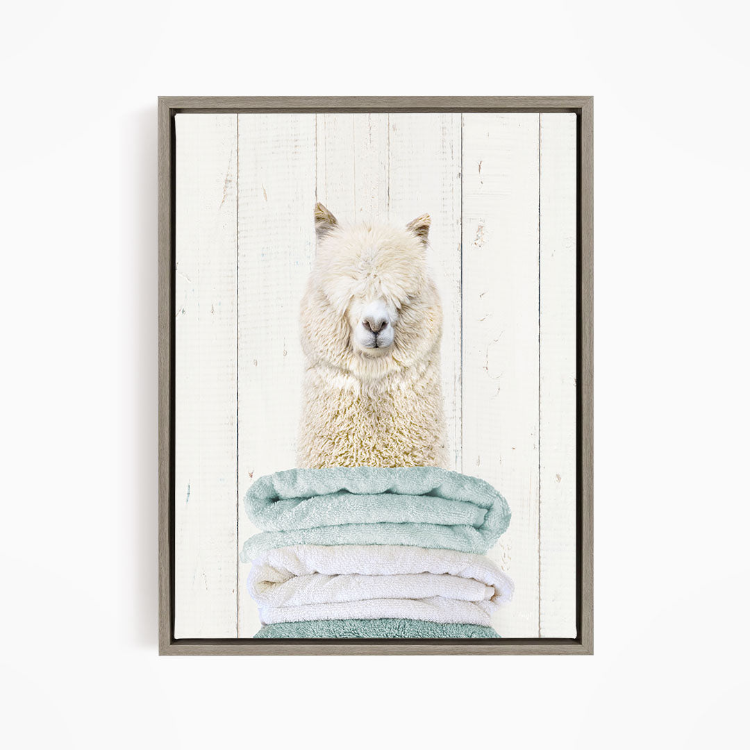 Alpaca on Folded Towels - Farmhouse Wall