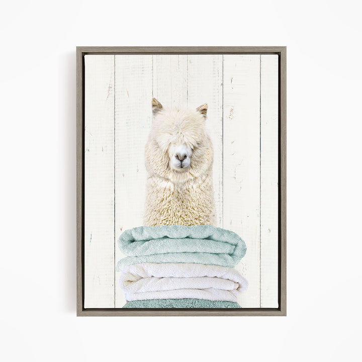 Alpaca on Folded Towels - Farmhouse Wall