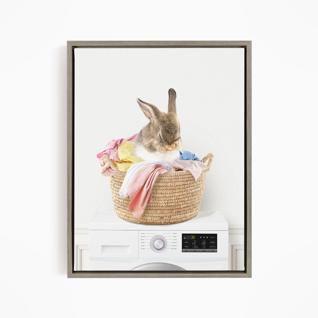 Bashful Bunny in Laundry Basket on Washing Machine- Simple White Wall