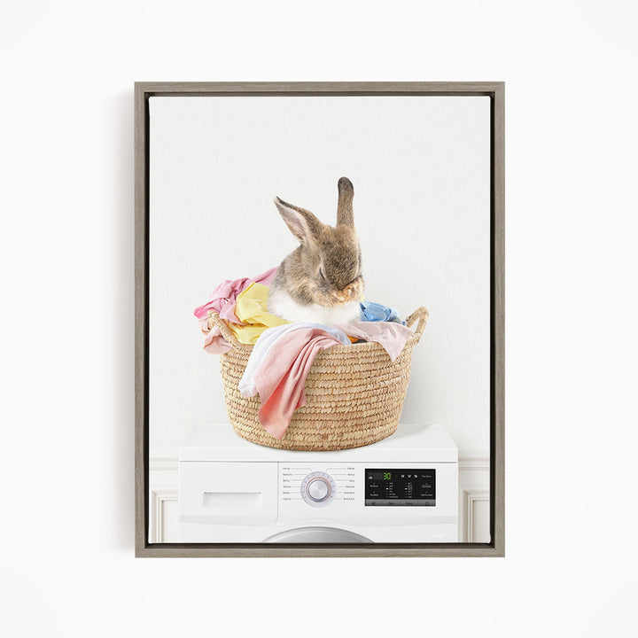 Bashful Bunny in Laundry Basket on Washing Machine- Simple White Wall