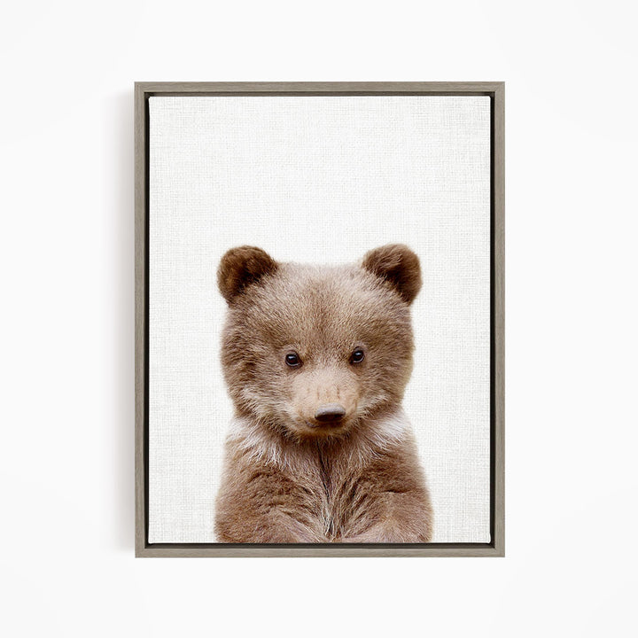Bear Cub - Animal Portraits