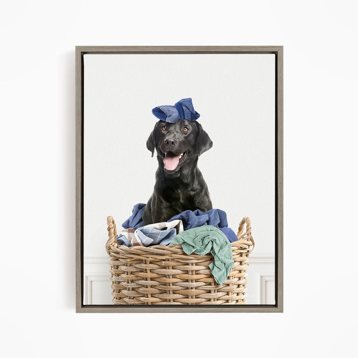 Black Lab in Laundry Basket - Simple White Wall