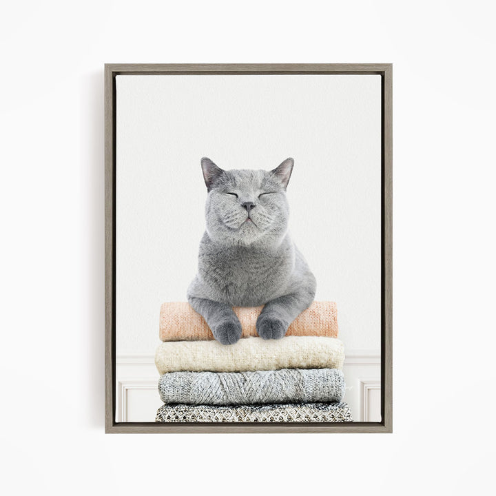 Cat on Sweaters - Simple White Wall