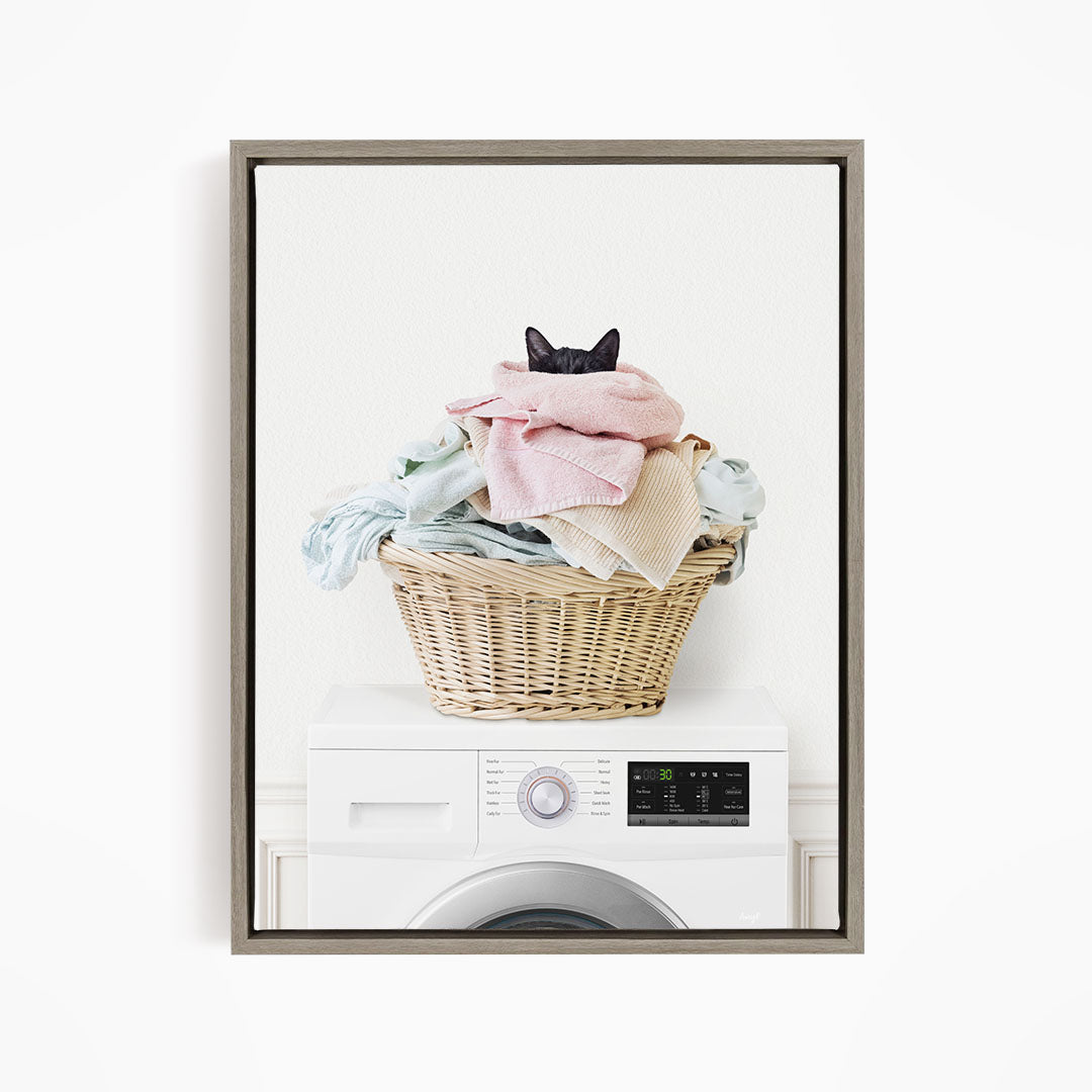 Cat in Laundry Basket on Washing Machine - Simple White Wall