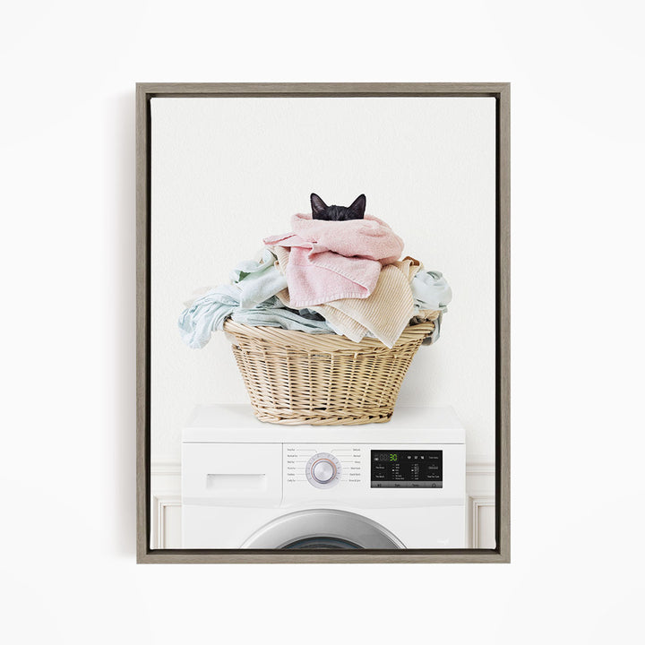 Cat in Laundry Basket on Washing Machine - Simple White Wall