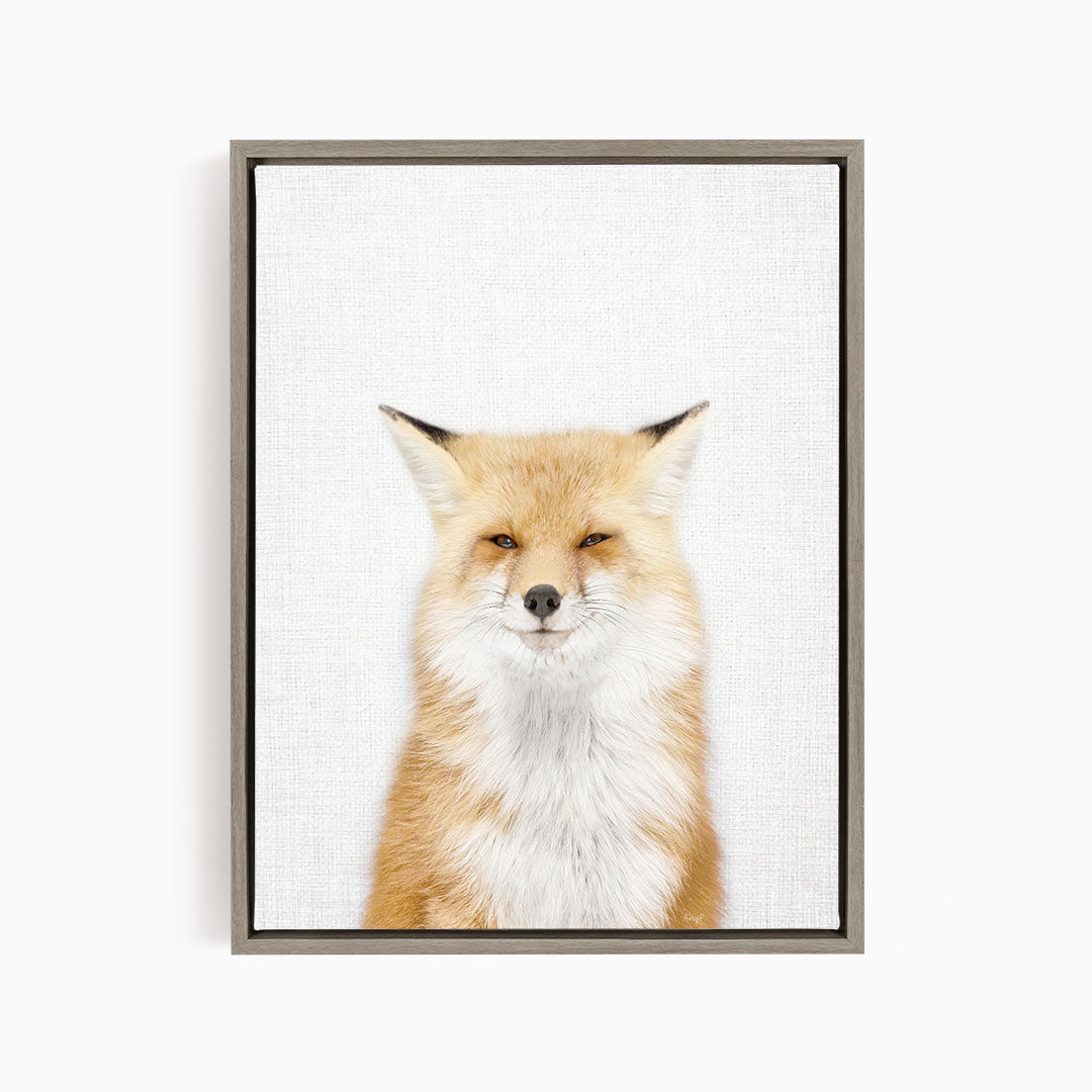 Smiling Fox - Animal Portraits
