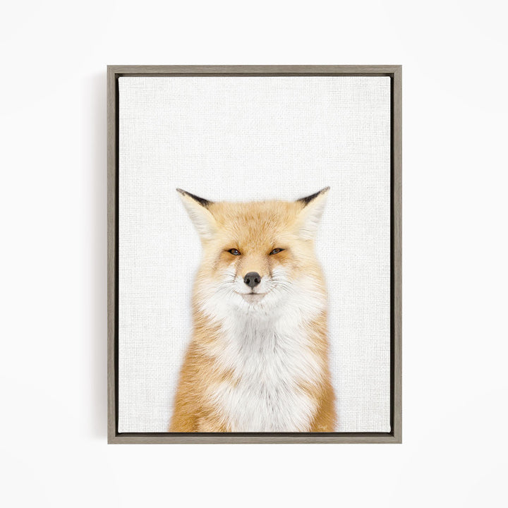 Smiling Fox - Animal Portraits