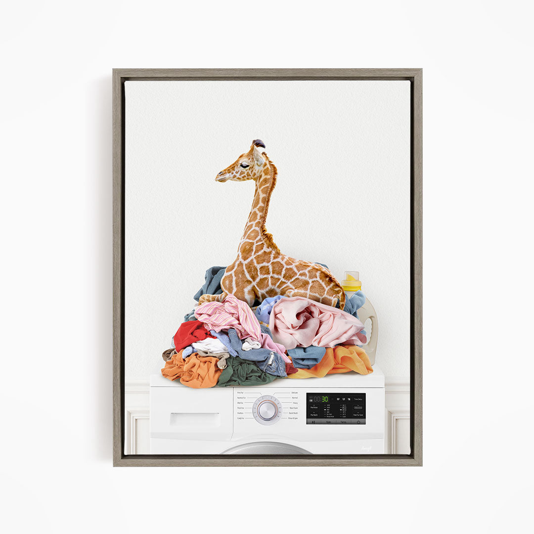 Baby Giraffe on Laundry Clothes Pile on Washing Machine - Simple White Wall