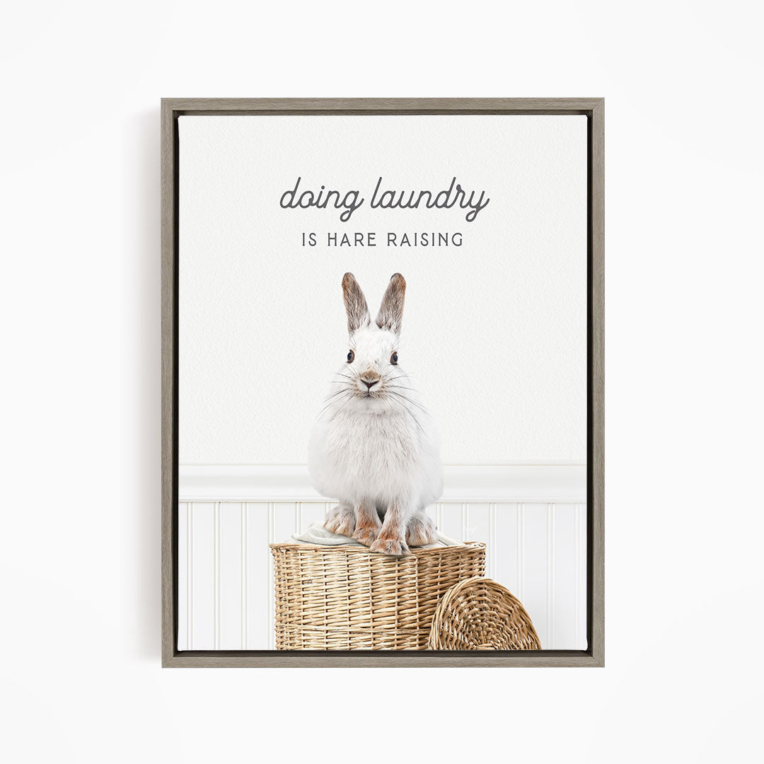 Snowshoe Hare - Doing Laundry is Hare Raising
