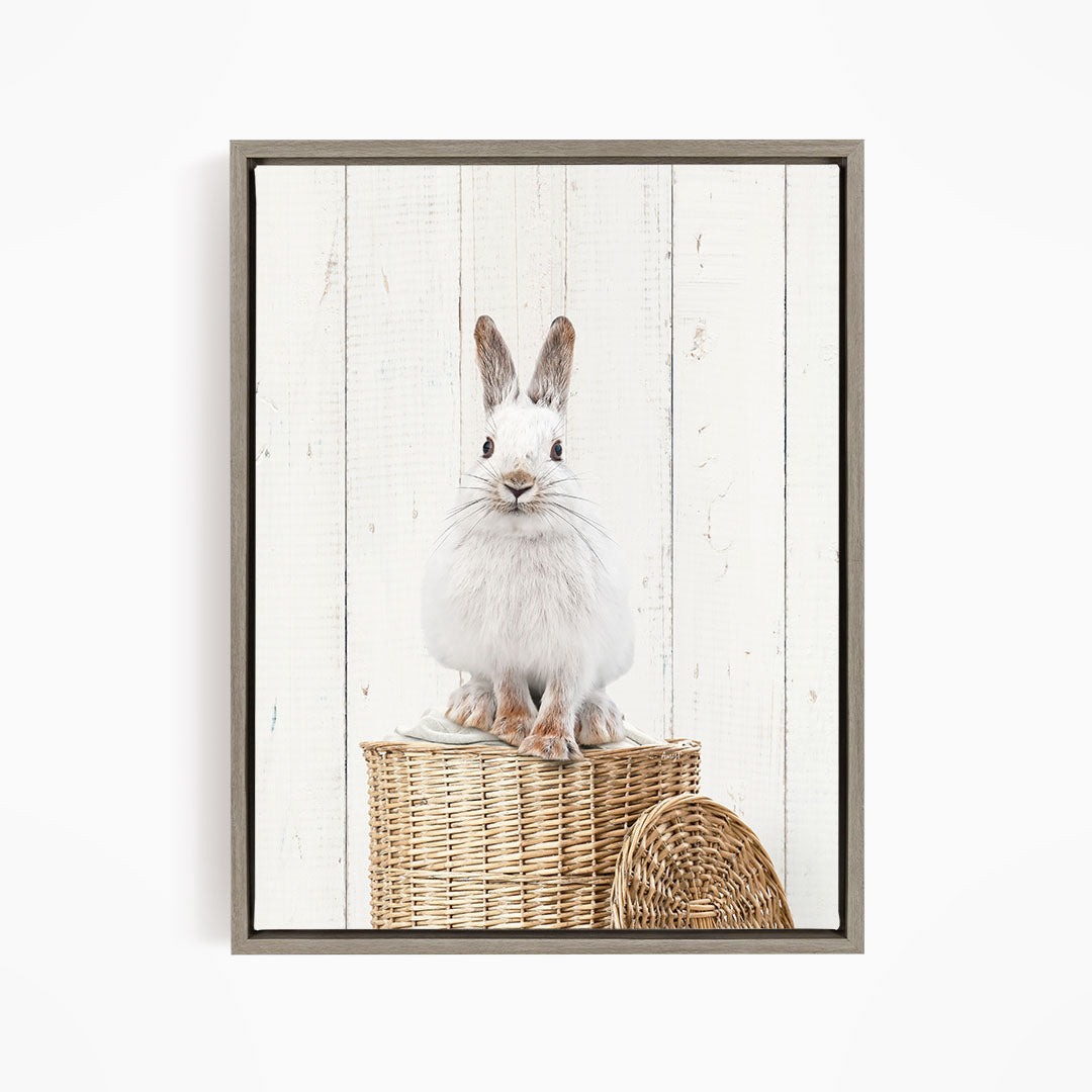 Snowshoe Hare in Laundry Basket - Farmhouse Wall