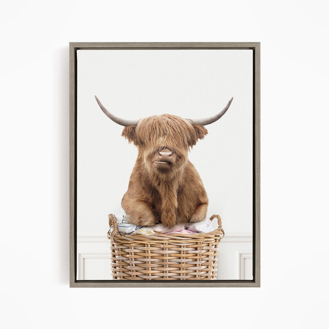 Highland Cow On Laundry Basket - Simple White Wall