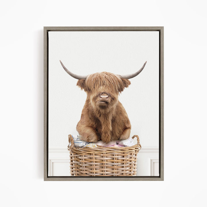Highland Cow On Laundry Basket - Simple White Wall