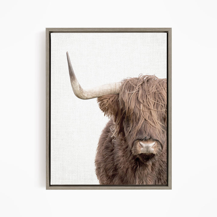 Highland Cow Off Center - Animal Portraits