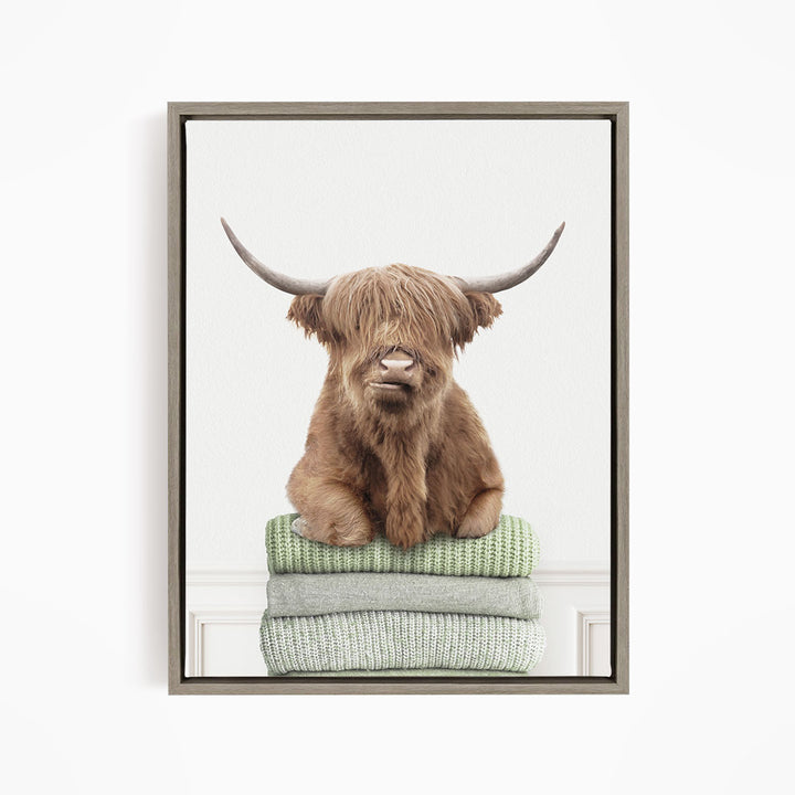Highland Cow on Folded Sweaters - Simple White Wall