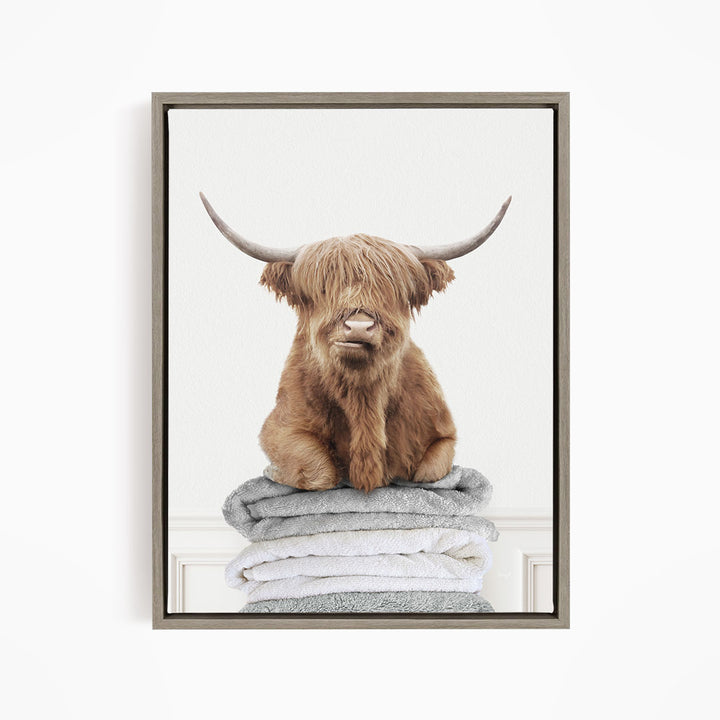 Highland Cow on Folded Towels - Simple White Wall
