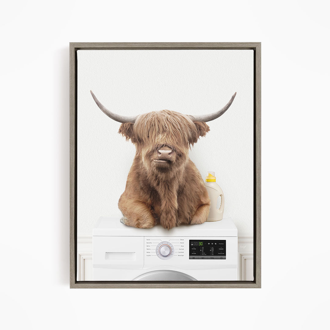 Highland Cow on Washing Machine - Simple White Wall