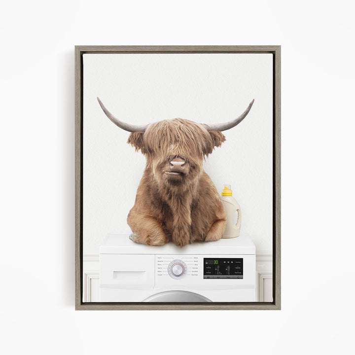 Highland Cow on Washing Machine - Simple White Wall