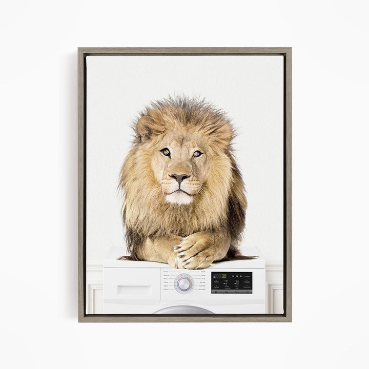 Lion on Washing Machine - Simple White Wall