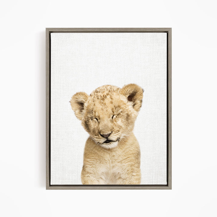 Lion Cub with Eyes Closed - Animal Portraits