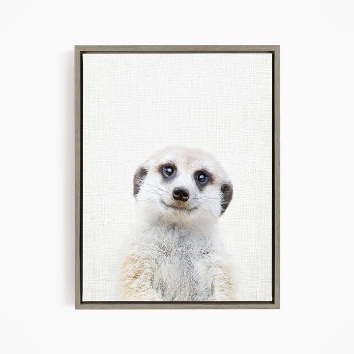 Meerkat - Animal Portraits
