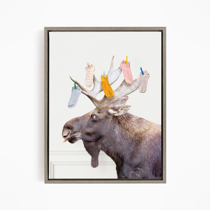 Moose - Lost Socks - Simple White Wall