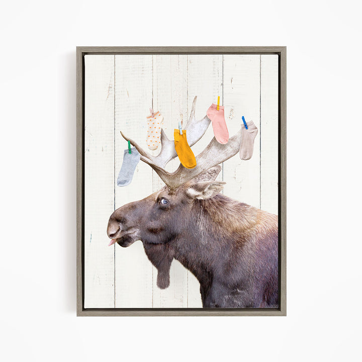 Moose - Lost Socks - Farmhouse Wall
