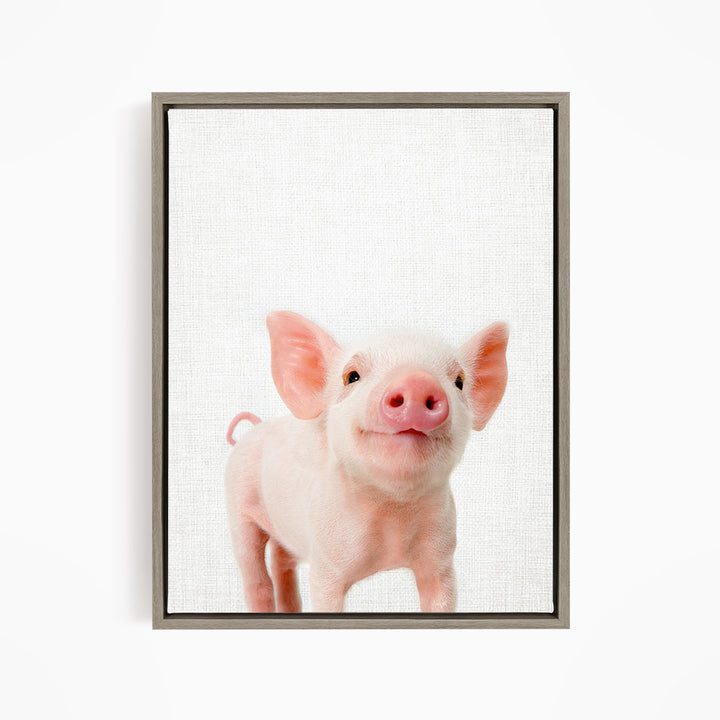 Piglet - Animal Portraits