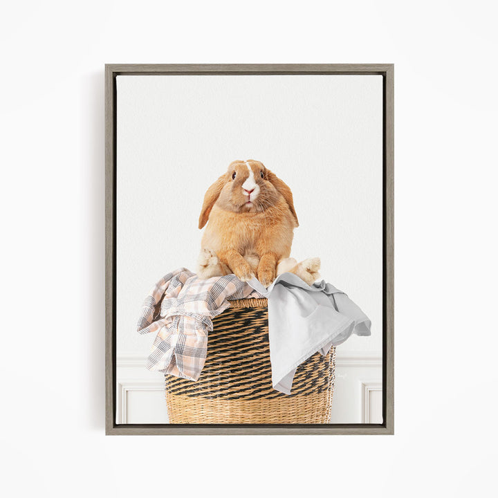 Pudgy Bunny in Laundry Basket - Simple White Wall