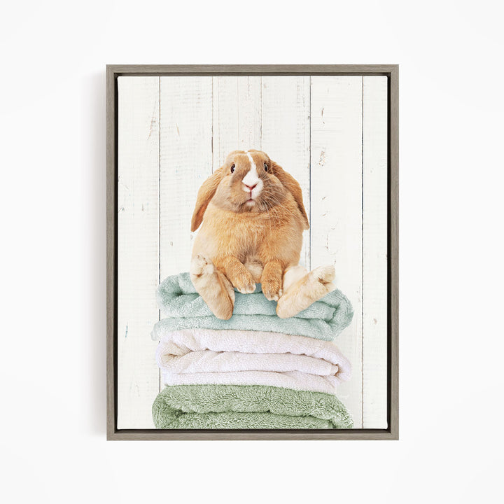 Pudgy Bunny on Folded Towels - Farmhouse Wall