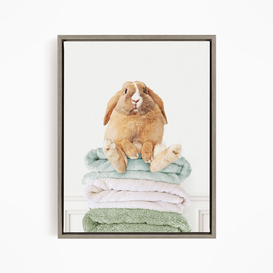 Pudgy Bunny on Folded Towels - Simple White Wall