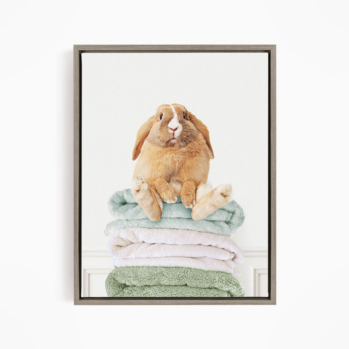 Pudgy Bunny on Folded Towels - Simple White Wall