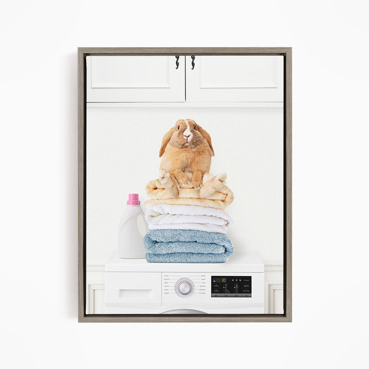 Pudgy Bunny on Folded Towels on Washing Machine - Simple White Wall