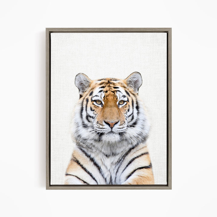 Bengal Tiger - Animal Portraits