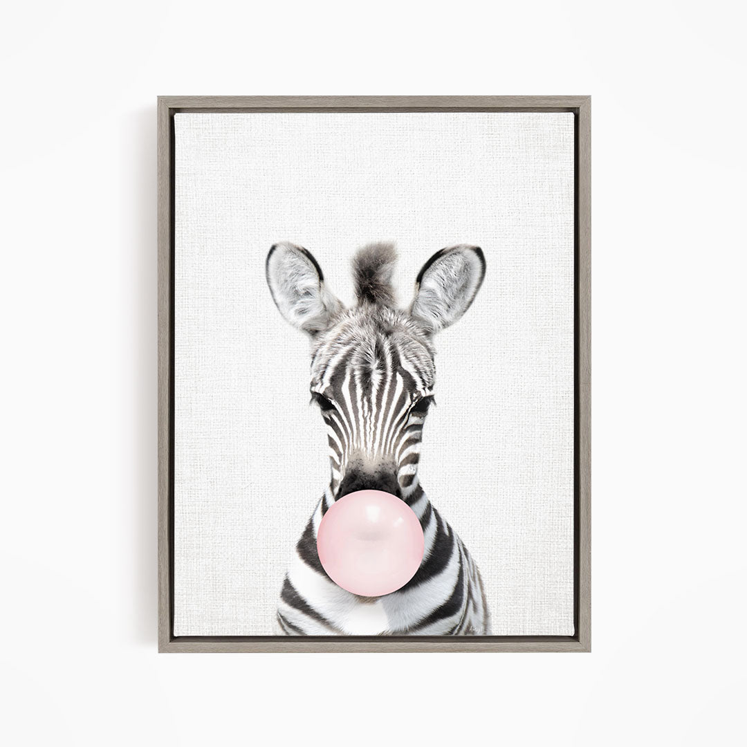 Baby Zebra Blowing Pink Bubble Gum