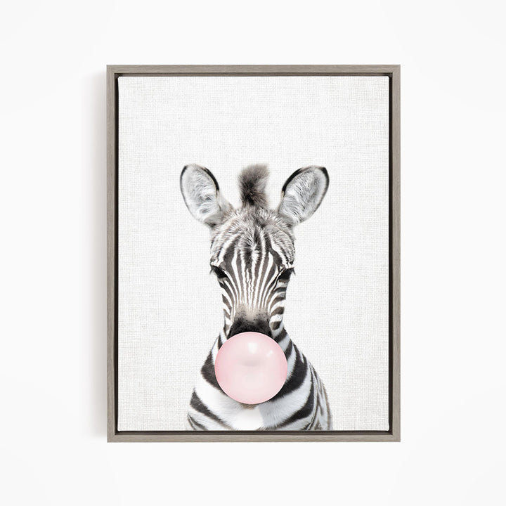 Baby Zebra Blowing Pink Bubble Gum