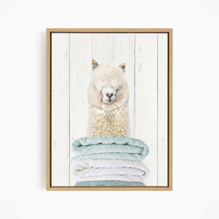 Alpaca on Folded Towels - Farmhouse Wall