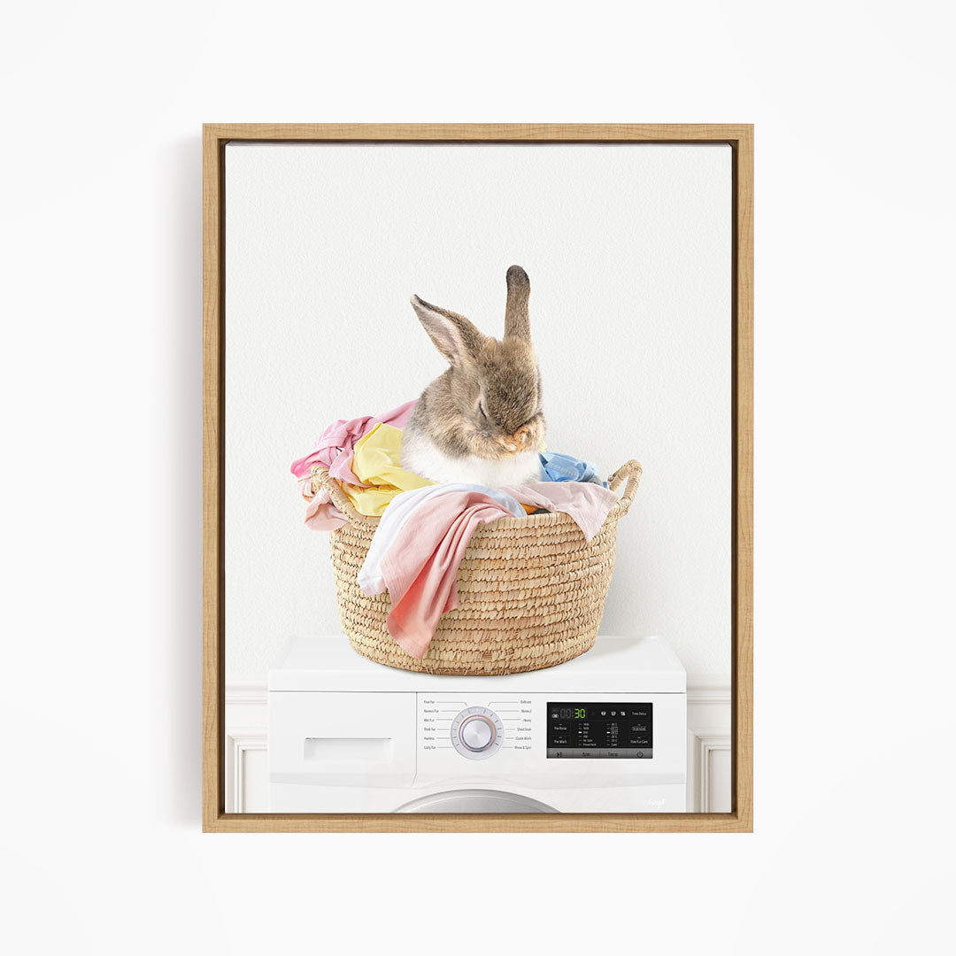 Bashful Bunny in Laundry Basket on Washing Machine- Simple White Wall