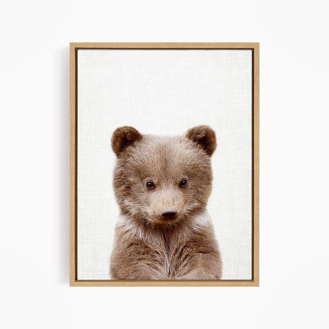 Bear Cub - Animal Portraits