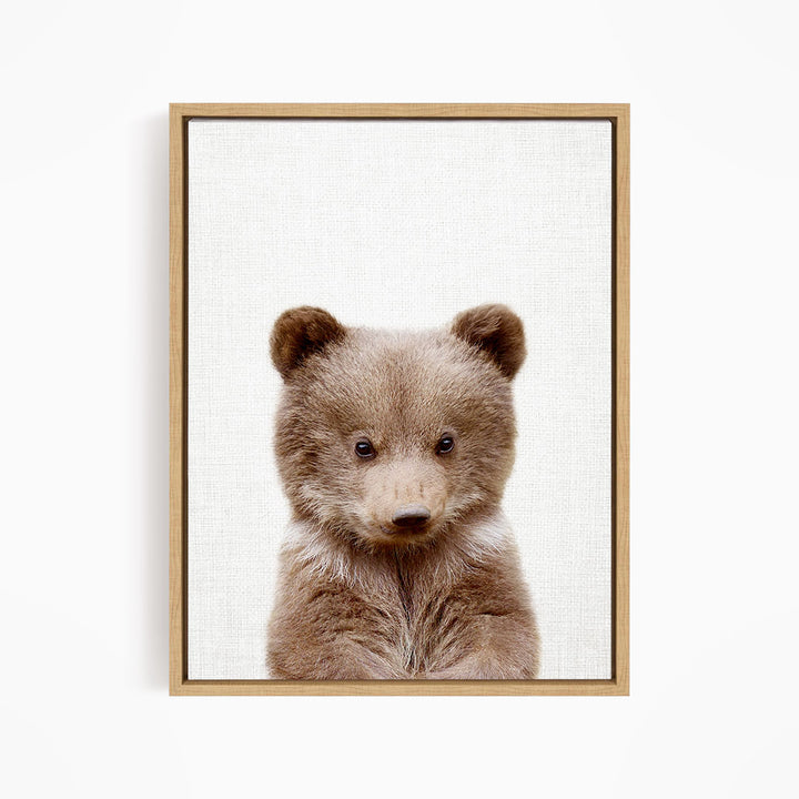 Bear Cub - Animal Portraits