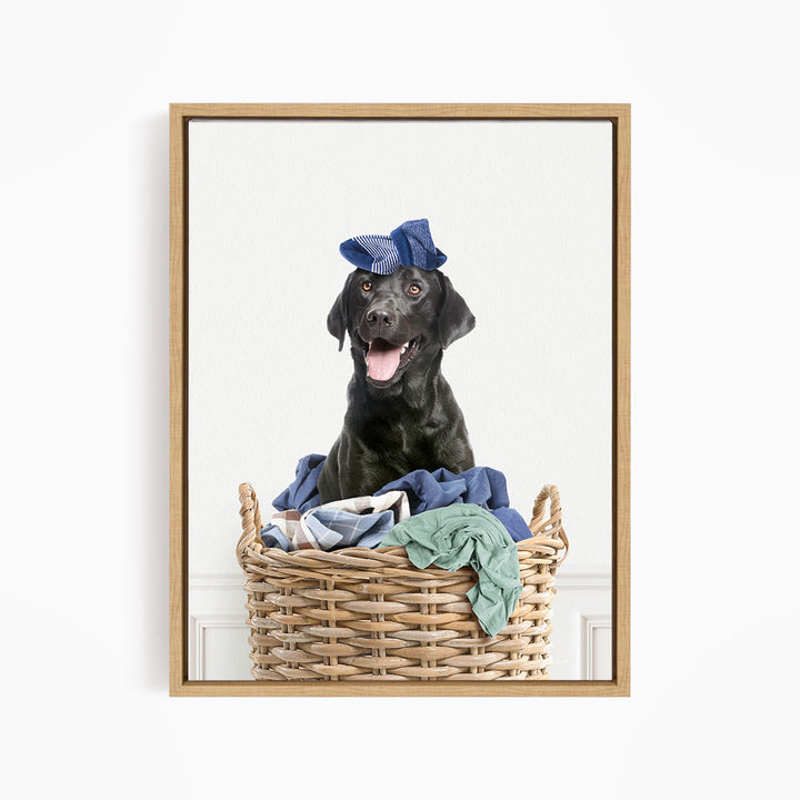 Black Lab in Laundry Basket - Simple White Wall