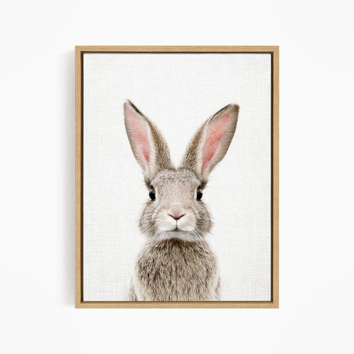 Female Rabbit - Animal Portraits