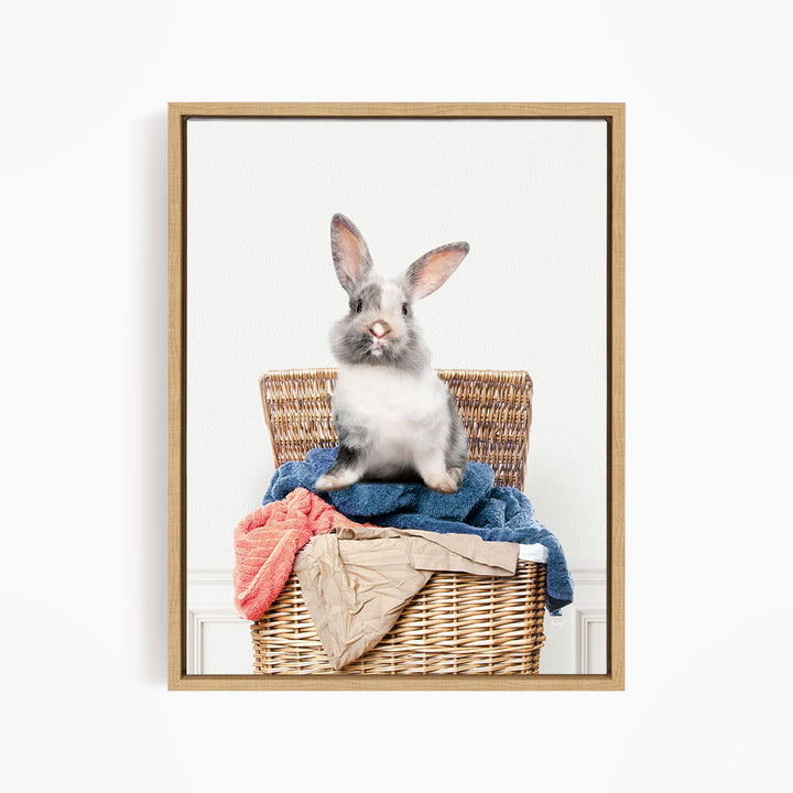 Gray and White Bunny in Laundry Basket - Simple White Wall