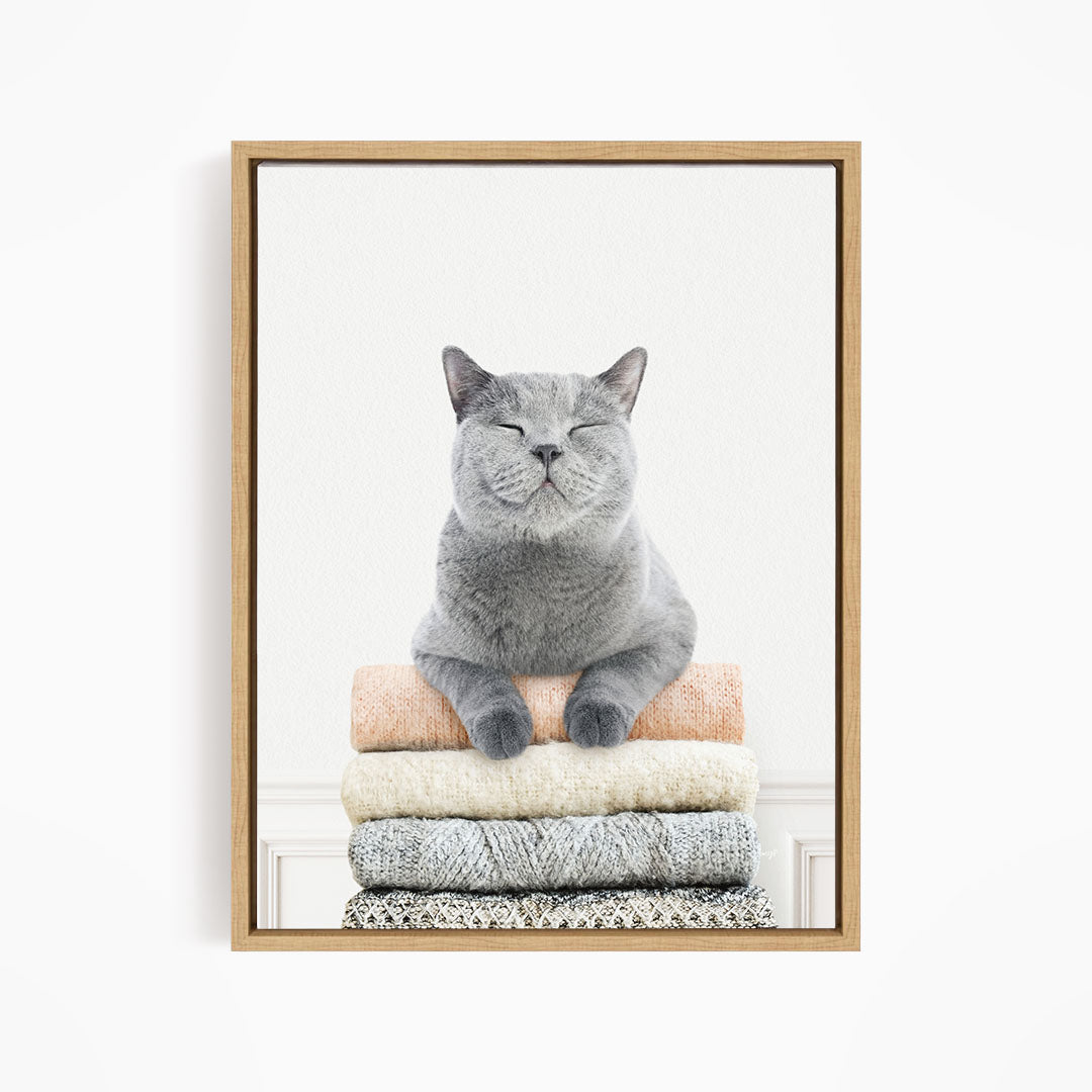 Cat on Sweaters - Simple White Wall