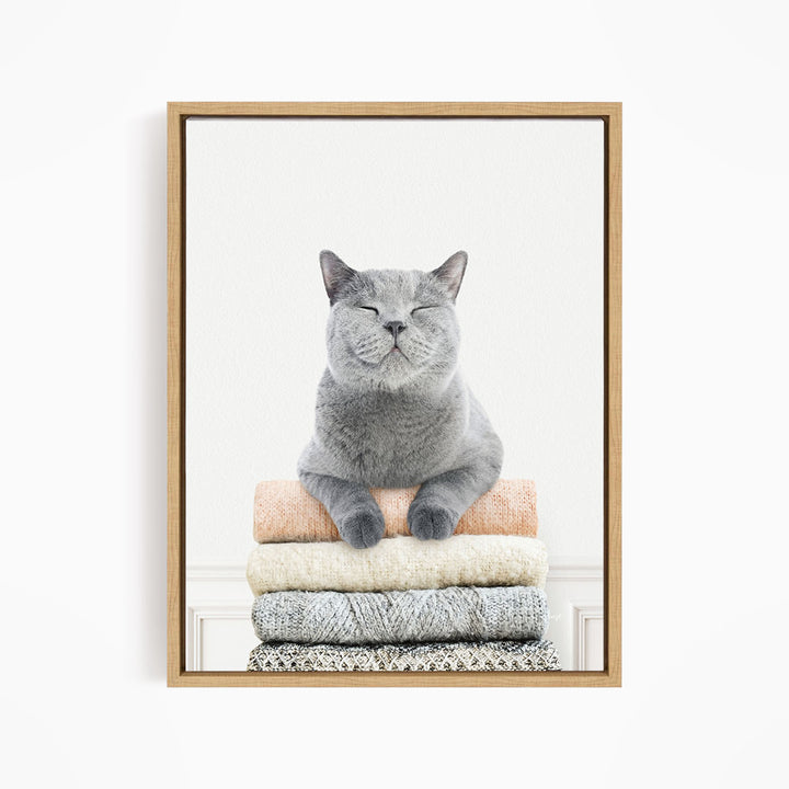 Cat on Sweaters - Simple White Wall
