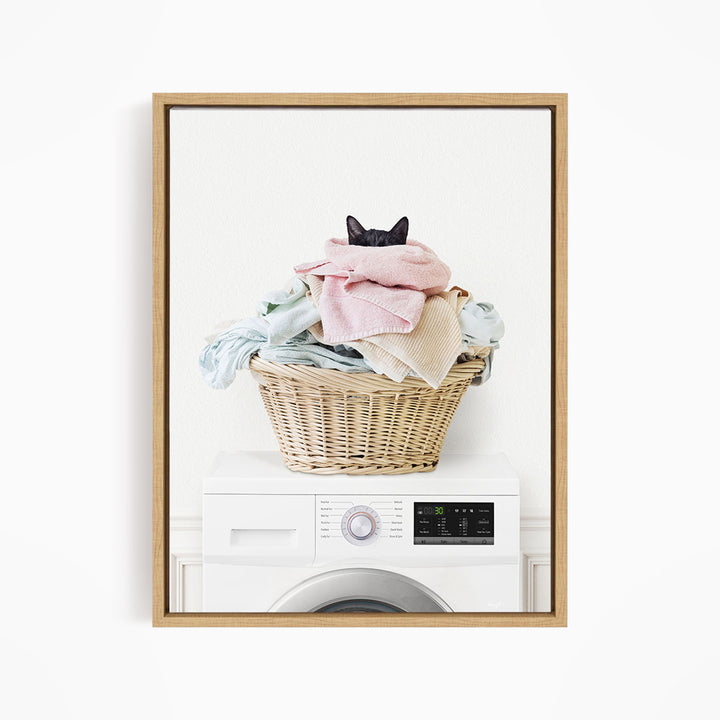 Cat in Laundry Basket on Washing Machine - Simple White Wall