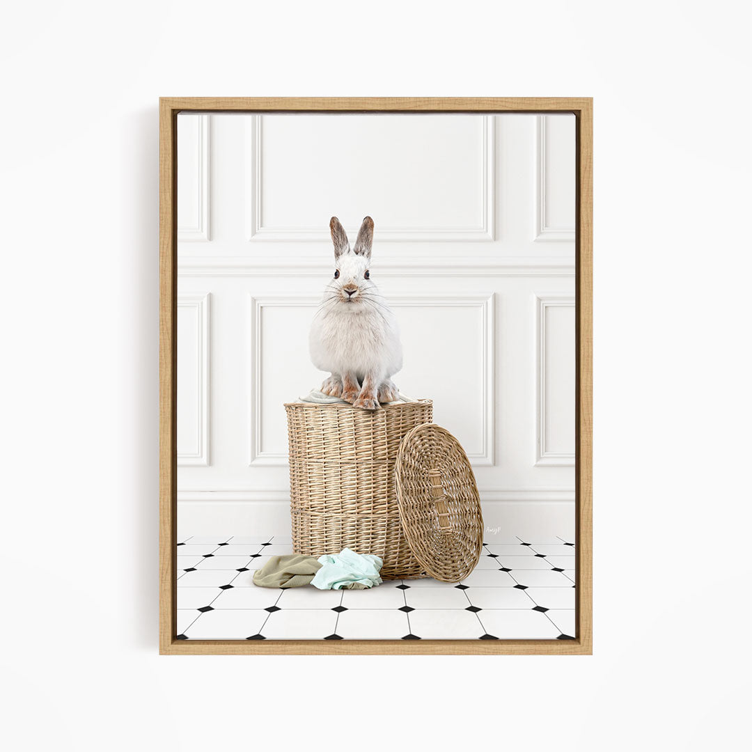 Snowshoe Hare on Laundry Basket - Classic White Floor
