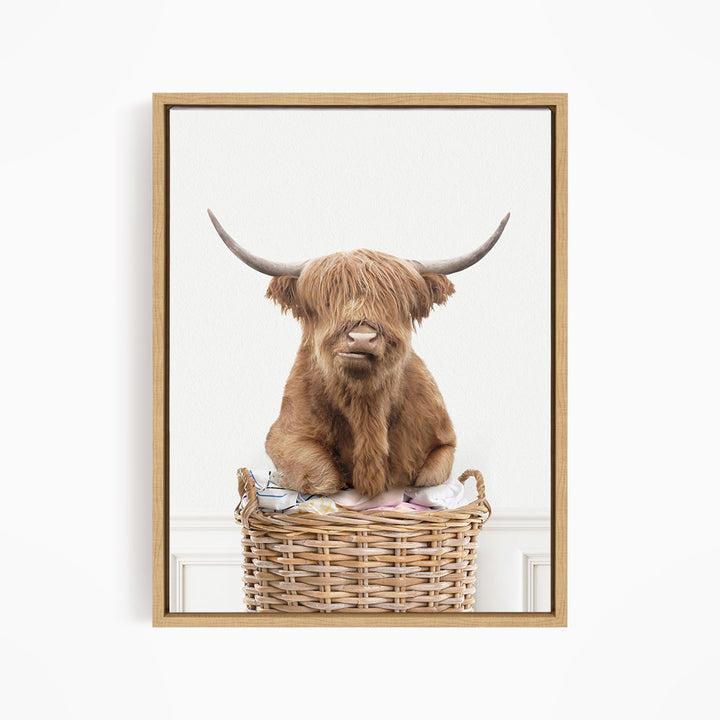 Highland Cow On Laundry Basket - Simple White Wall