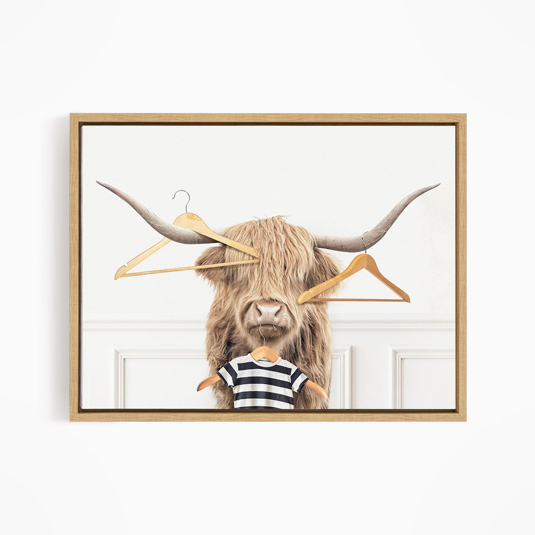Highland Cow with Clothes Hangers - Simple White Wall